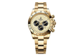 Gold-tone - Textured Gold-tone Dial - Black Subdials